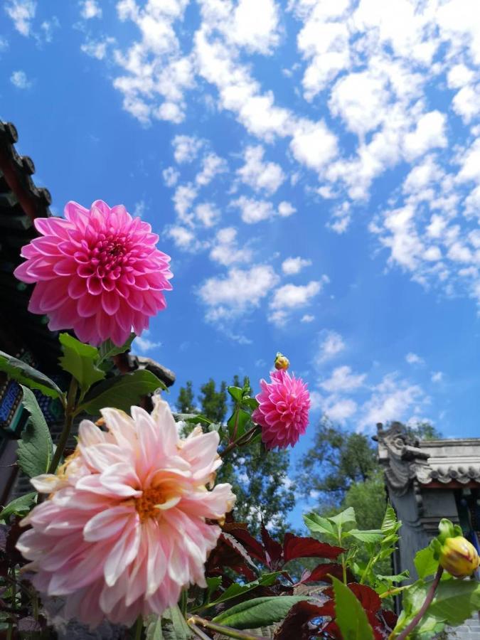 Chengde Kai Ren Hua Fu Inn Bi Shu Shan Zhuang Dian Kültér fotó
